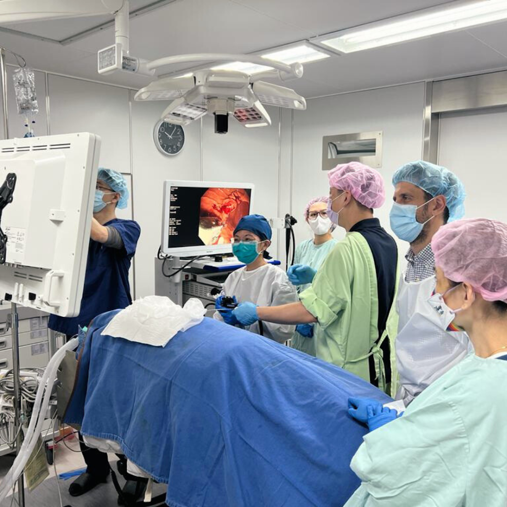 New endoscopic sleeve gastroplasty technique Dr Balalis